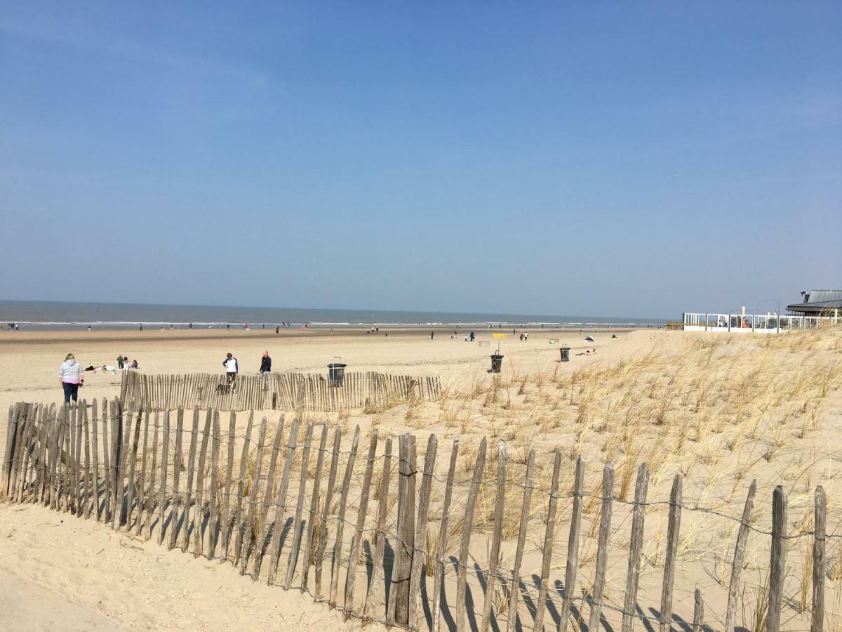 Amsterdam Beach Home 4 Zandvoort Extérieur photo